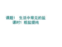 初中化学粤教版九年级下册7.4 结晶现象课文内容ppt课件