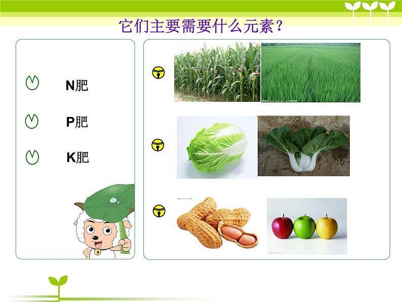 科粤化学九下《8.5 化学肥料》 课件06