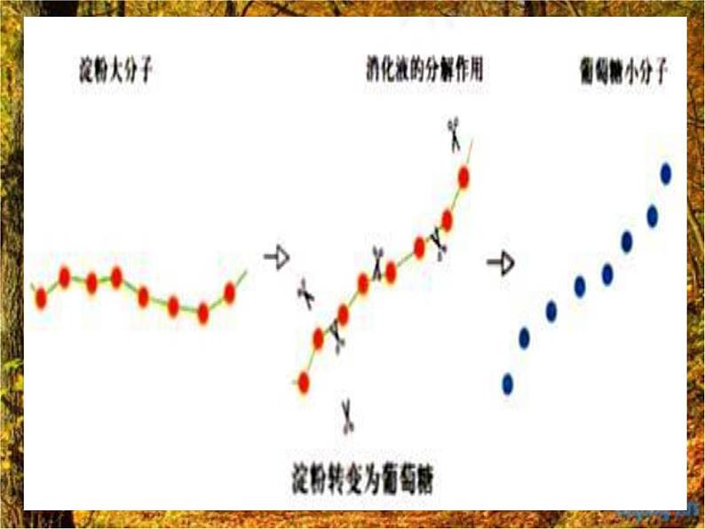 科粤化学九下《9.4 化学物质与健康》 课件04