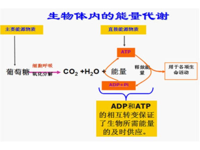 科粤化学九下《9.4 化学物质与健康》 课件06