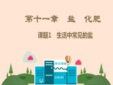 人教版九年级化学  第11章   盐 化肥课件