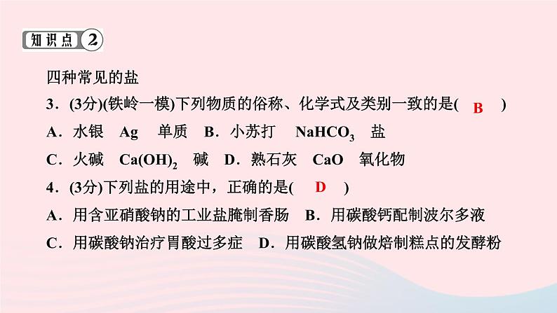 九年级化学下册第十一单元盐化肥课题1生活中常见的盐第1课时生活中常见的盐作业课件新版新人教版04