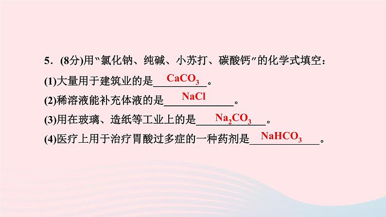 九年级化学下册第十一单元盐化肥课题1生活中常见的盐第1课时生活中常见的盐作业课件新版新人教版05