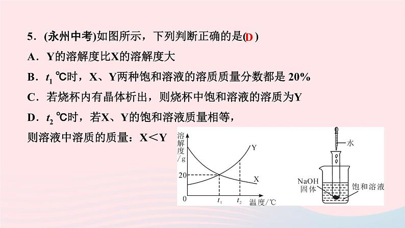 九年级化学下册第九单元溶液专题训练三溶解度曲线的应用作业课件新版新人教版07