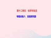 九年级化学下册第十二单元化学与生活专题训练八实验探究题作业课件新版新人教版