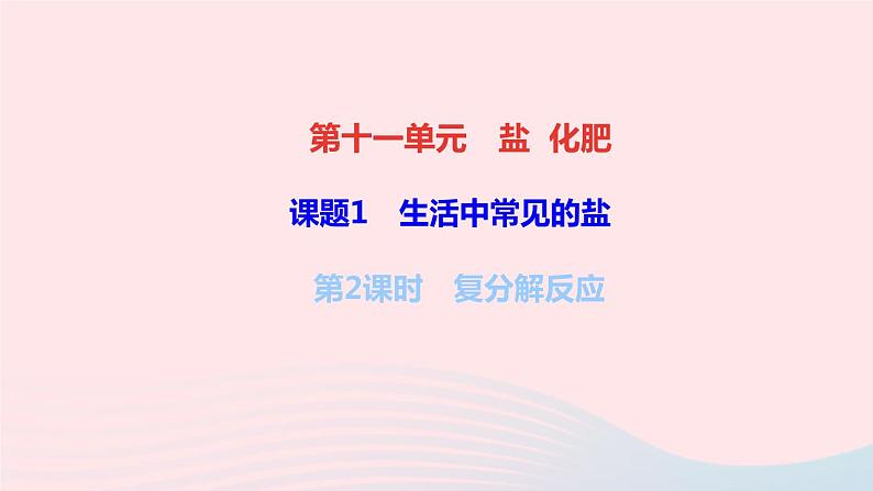 九年级化学下册第十一单元盐化肥课题1生活中常见的盐第2课时复分解反应作业课件新版新人教版01