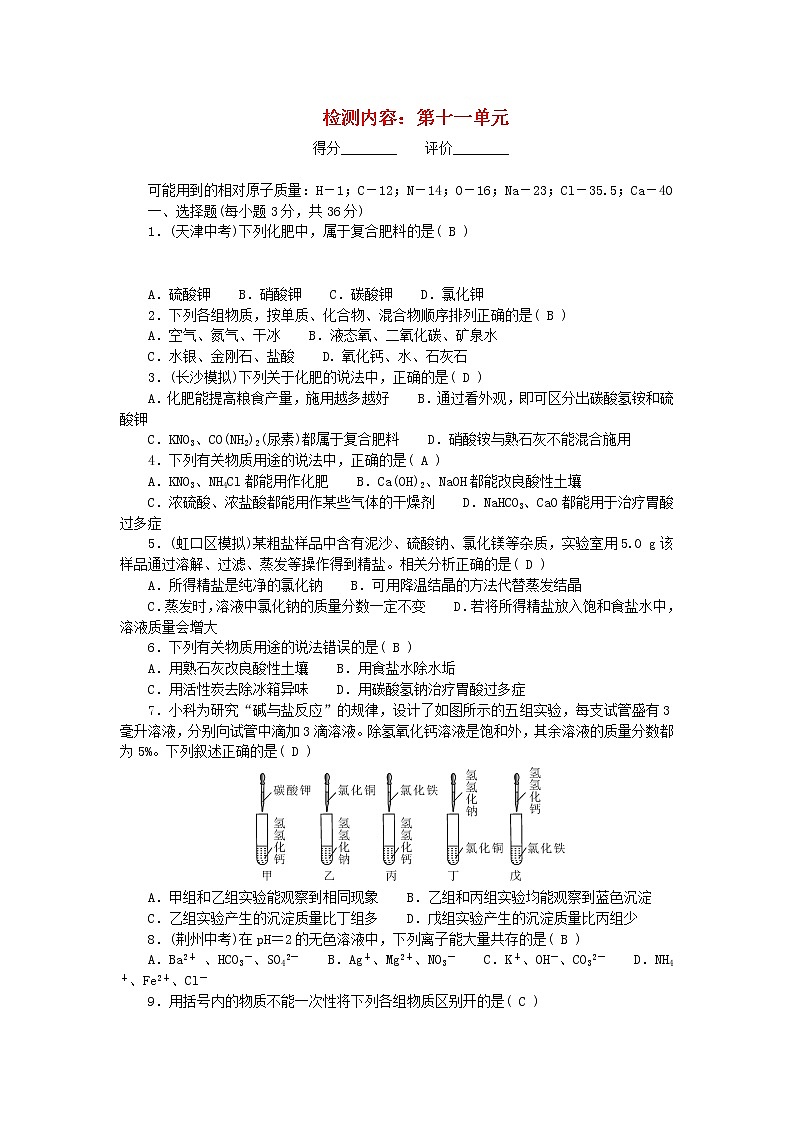 九年级化学下册单元清检测内容：第十一单元盐化肥新版新人教版01