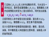 人教版九年级下册期末复习  第十二单元化学与生活 复习课件