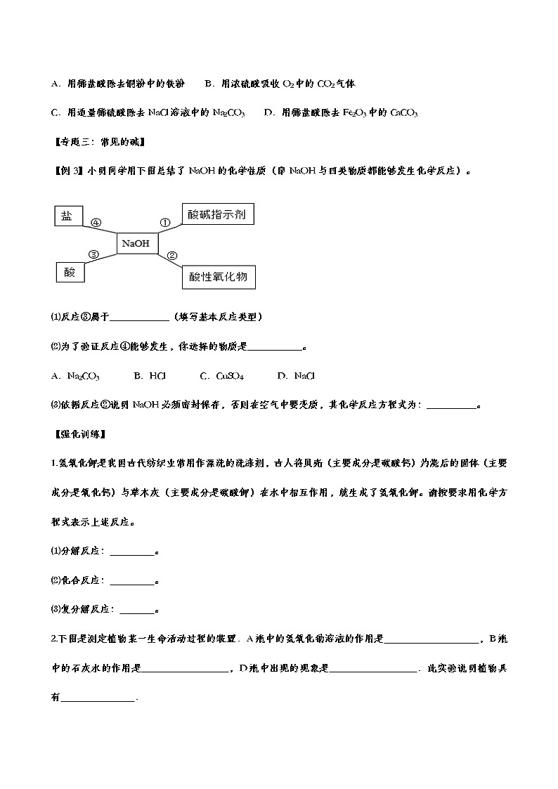 备战2021中考化学重点知识强化训练 专题二十二 酸和碱03