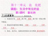 人教版九年级下册化学 第十一单元 课题1 第1课时 氯化钠  PPT 课件