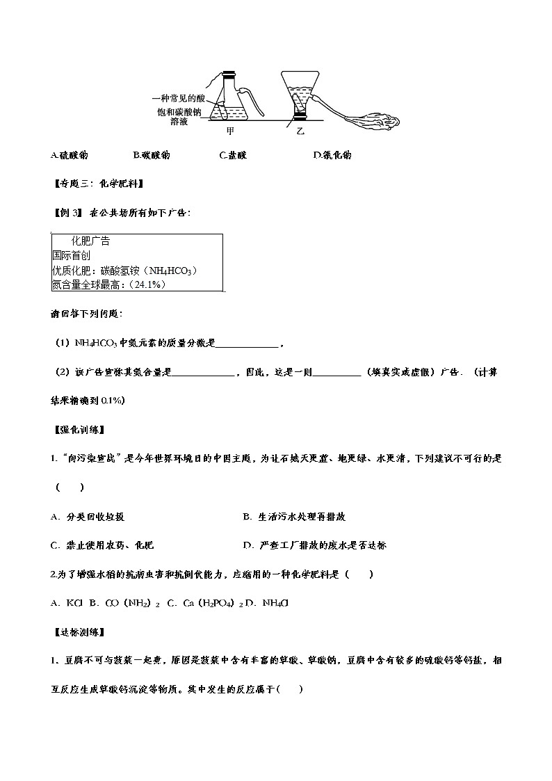 备战2021中考化学重点知识强化训练 专题二十三 盐和化肥03