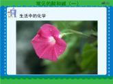 第十单元 常见的酸和碱（一）课件   人教版 九年级下册 化学