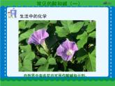 第十单元 常见的酸和碱（一）课件   人教版 九年级下册 化学