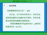 第十单元 酸和碱的中和反应（二）课件   人教版 九年级下册 化学