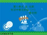 第十一单元 生活中常见的盐（一）课件   人教版 九年级下册 化学