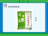 第十一单元 生活中常见的盐（一）课件   人教版 九年级下册 化学