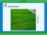 第十一单元 11-2化学肥料课件   人教版 九年级下册 化学