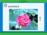 第十一单元 11-2化学肥料课件   人教版 九年级下册 化学