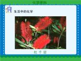 第十一单元 11-2化学肥料课件   人教版 九年级下册 化学