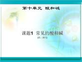人教版化学九年级下册常见的酸和碱 课件PPT