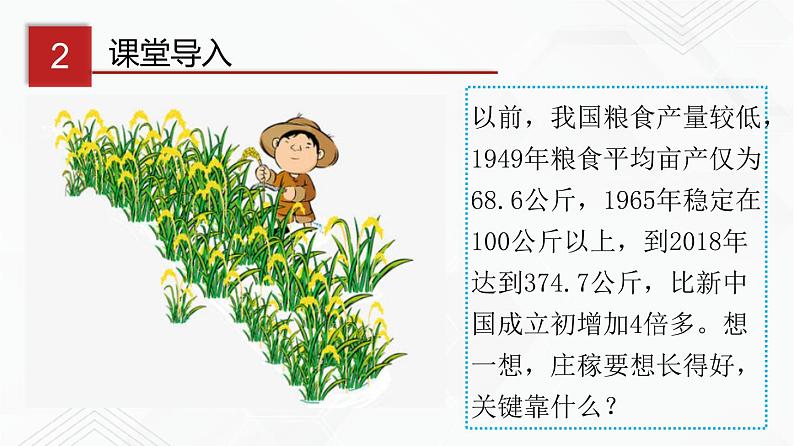 鲁教版九年级化学下册 化学与农业生产 课件PPT+练习题（原卷及解析卷）07