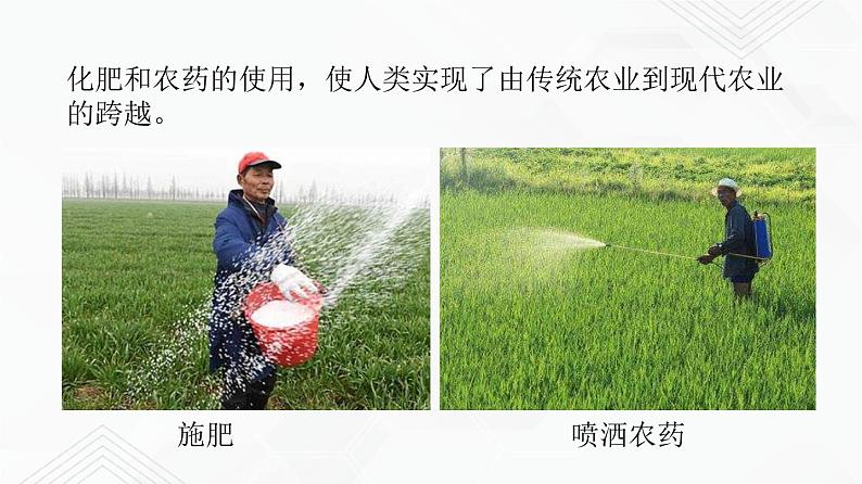 鲁教版九年级化学下册 化学与农业生产 课件PPT+练习题（原卷及解析卷）08