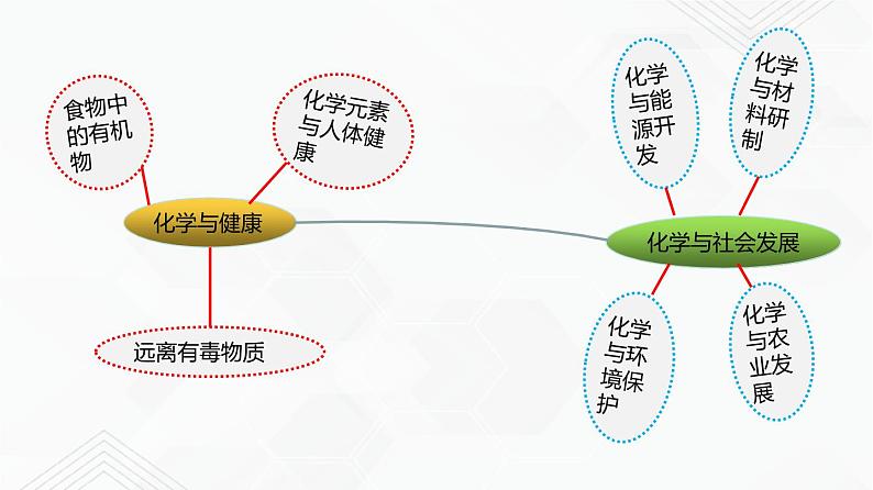 鲁教版九年级化学下册 期末复习课件PPT+总结（原卷及解析卷）04