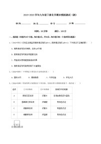 鲁教版九年级化学下册 期末模拟测试（原卷及解析卷）