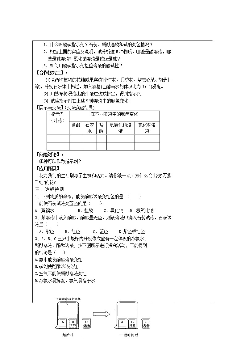 初中化学人教版九年级(上册) 第10单元 酸和碱 精品学案02