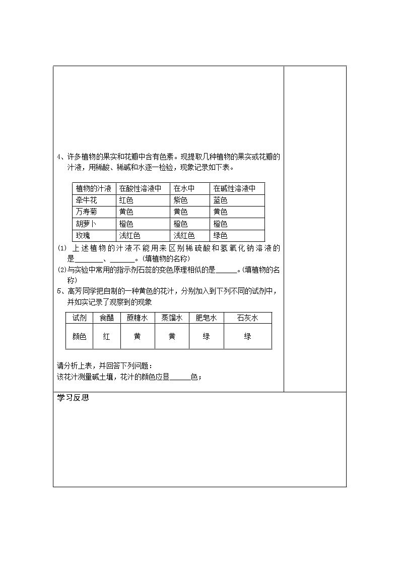 初中化学人教版九年级(上册) 第10单元 酸和碱 精品学案03
