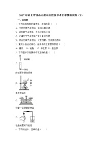 2017年河北省唐山市滦南县校级中考化学模拟试卷（解析版）