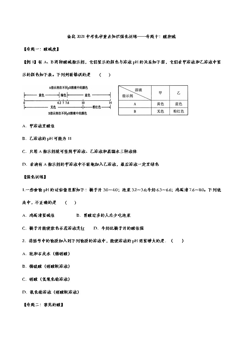 备战2021中考化学重点知识强化训练 专题十 酸和碱01