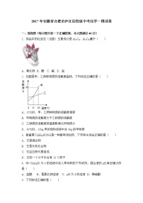 2017年安徽省合肥市庐江县校级中考化学一模试卷（解析版）