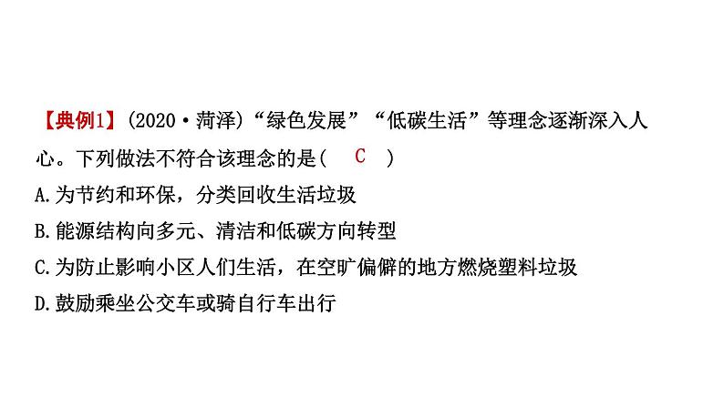 2021年春鲁教版化学中考第一轮复习课件 第6单元 大自然中的二氧化碳03