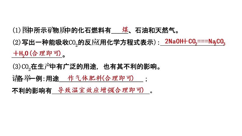 2021年春鲁教版化学中考第一轮复习课件 第6单元 大自然中的二氧化碳05