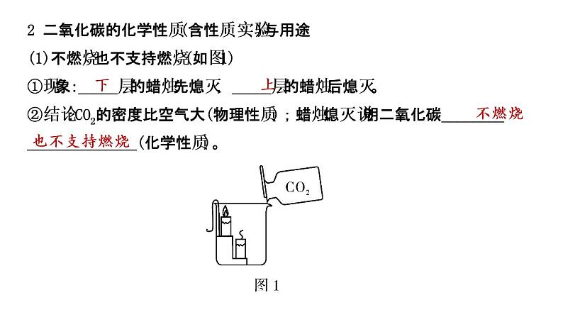 2021年春鲁教版化学中考第一轮复习课件 第6单元 大自然中的二氧化碳07