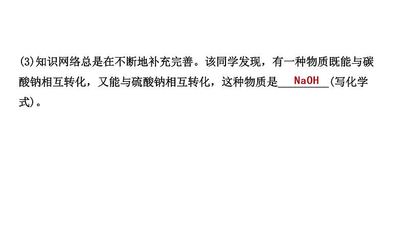 2021年春鲁教版化学中考第一轮复习课件 第8单元 盐及其性质07