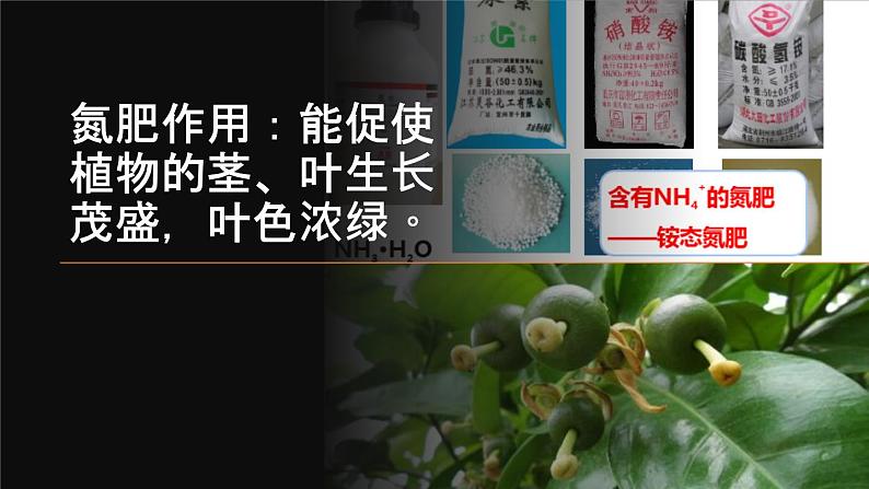 人教部编版课题11.2 化学肥料 精品PPT课件+视频03