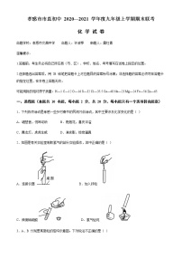 湖北省孝感市直初中2020-2021学年九年级上学期期末化学试题