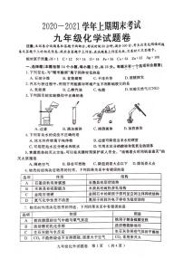 河南省郑州市2020-2021学年度上学期期末考试九年级化学试卷（含答案）