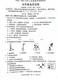 福建省漳州市2020-2021学年初三上学期教学质量检测化学试题