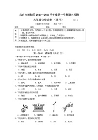 北京市朝阳区2020-2021学年九年级上学期期末考试化学试题