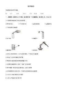 湖北省孝感市安陆市2020-2021学年九年级上学期期末化学试题