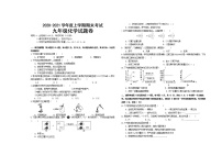 江西省赣州市大余县2021届九年级上学期期末考试化学试题