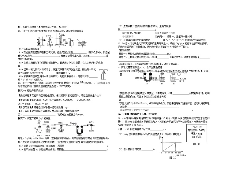 江西省赣州市大余县2021届九年级上学期期末考试化学试题第3页
