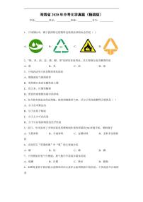 海南省2020年中考化学真题含解析