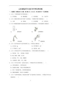 山东省临沂市2020年中考化学试卷含解析