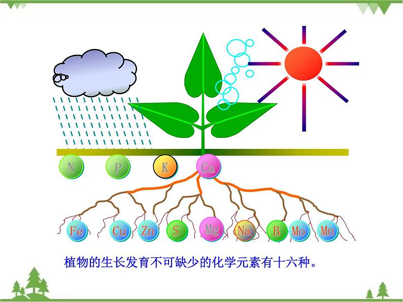 人教版初中化学九年级下册同步课件：第11单元课题2 化学肥料04