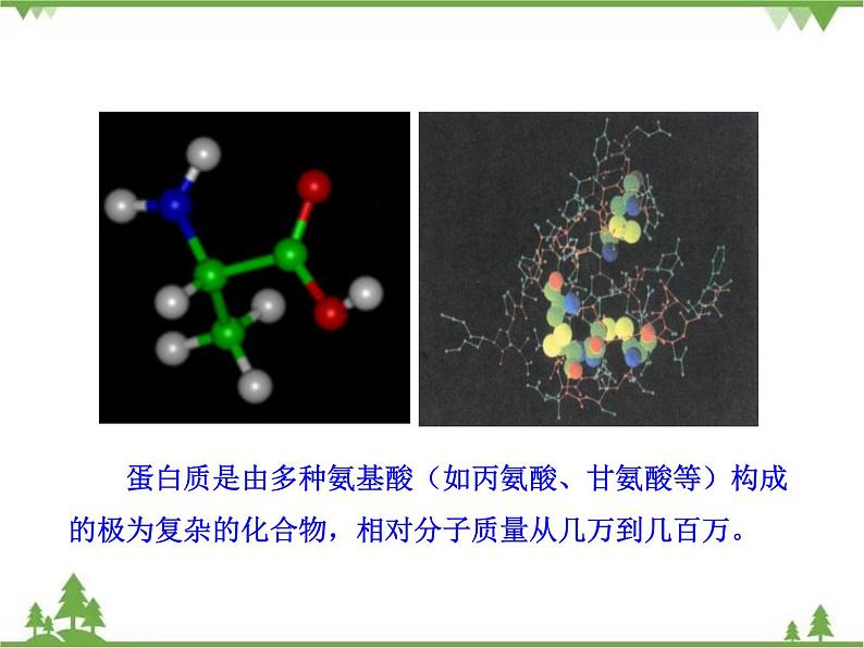 人教版初中化学九年级下册同步课件：第12单元课题1 人类重要的营养物质07