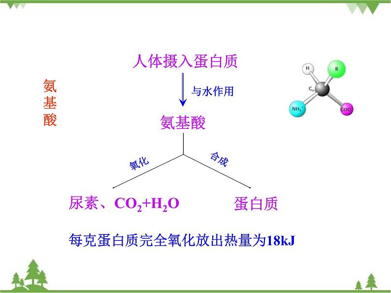 人教版初中化学九年级下册同步课件：第12单元课题1 人类重要的营养物质08